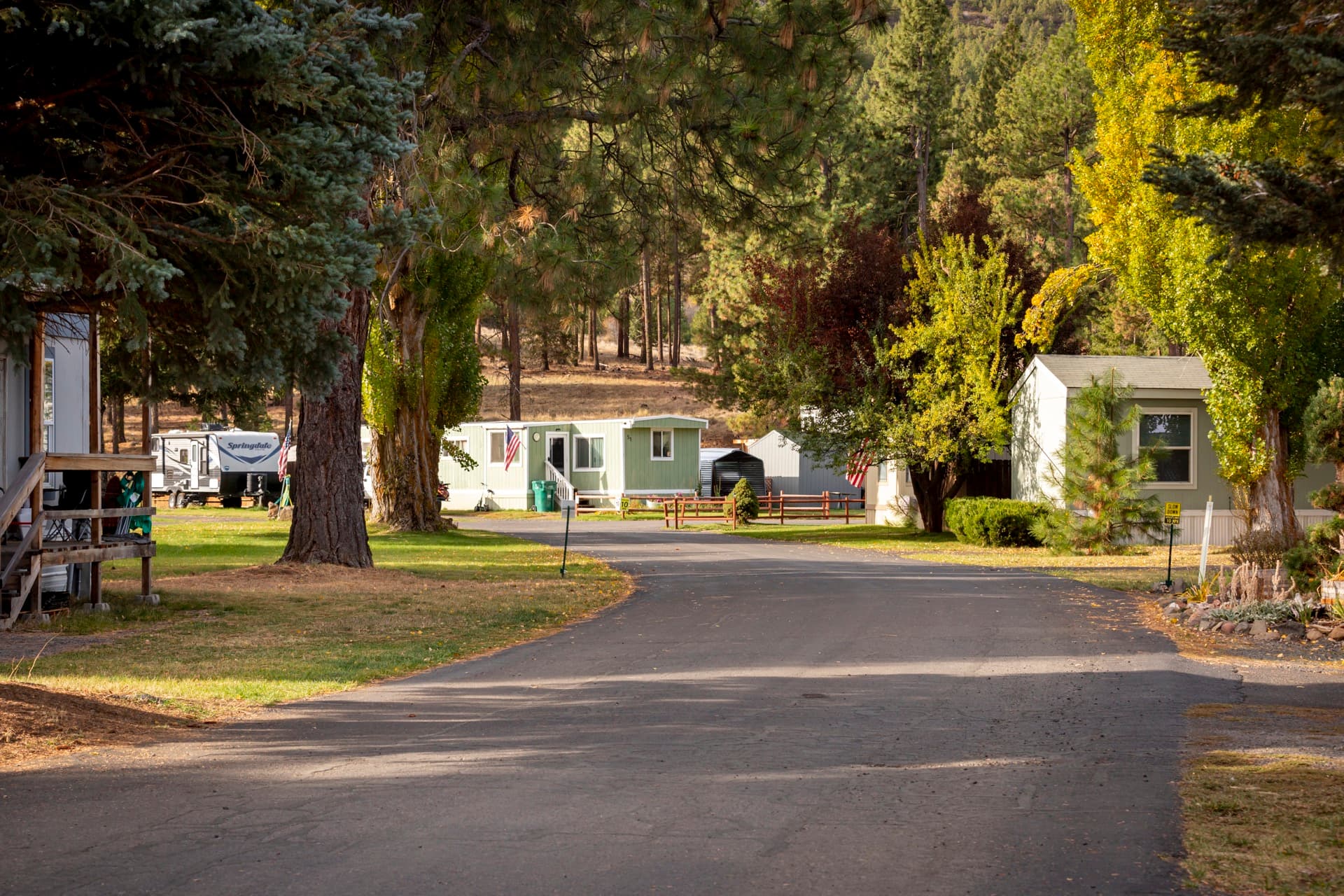 Tree-lined community street with manufactured homes at Round Lake Community Klamath Falls Oregon
